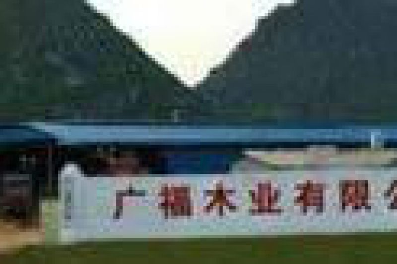 贵港市(广西省)胶合板贴标机实地客户